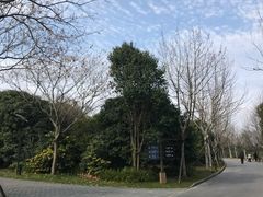 -吴淞炮台湾湿地森林公园烧烤区