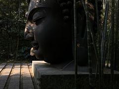 -杭州植物园