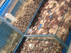 -港畔赶海蒸汽海鲜烧烤自助(仙螺岛店)