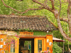 -村上春树