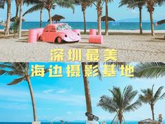 -玫瑰海岸文化旅游度假区