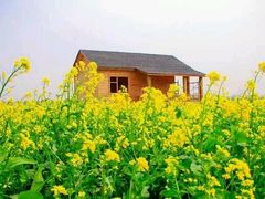 -兰陵国家农业公园