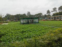 -洪湖家庭农场·团建·露营·会议
