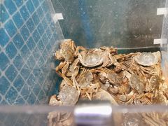 -曼格活海鲜·牛排自助(光明蓝鲸店)