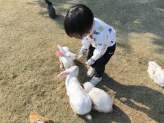 -菊园百果园