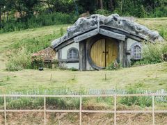 -大塘金香草谷