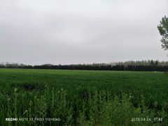 -汉长安城未央宫国家考古遗址公园