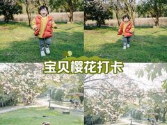 -天下玉苑