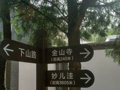 -阳台山自然风景区