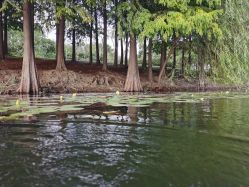 -剑鱼皮划艇俱乐部(石湖基地)