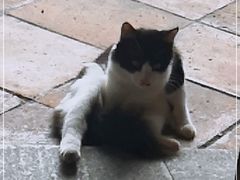 -西关竹园(荔枝湾店)