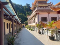 -深圳仙湖植物园