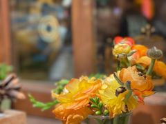 -饵块食光·云南有机手作饵块