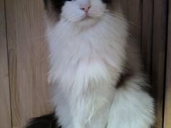 -零纪元VR体验馆·桌游(黄浦店)