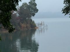 -广州市流溪河国家森林公园