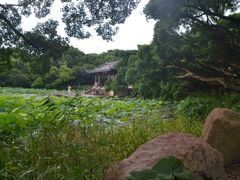 -江心屿景区