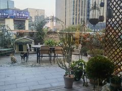 -半分甜(台柳路店)