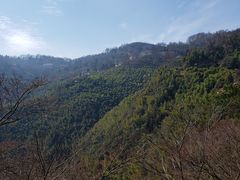-莫干山风景区