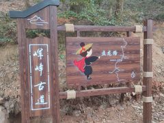 -宝界山林公园
