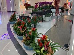 -欧亚汇集(飞跃路店)