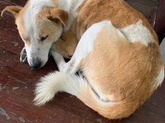 -兴福老面馆(寺路街店)