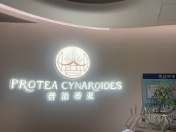 -普洛蒂亚·科技美肤中心