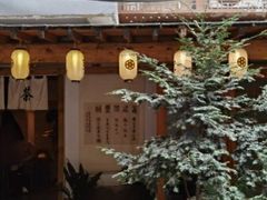 -泡桐树街