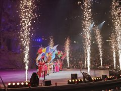 -广州长隆国际大马戏