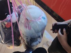-天天玩X秋葉原日系动漫游戏中心
