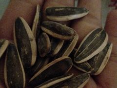 -栗满秋(燕丰西坝河店)