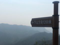 -大岭沟猕猴桃谷风景区
