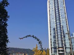 -百林公园-两江幸福广场