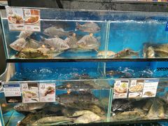 水产区-盒马鲜生(曜一城店)