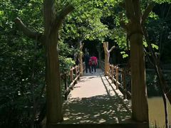 -茅兰沟国家森林公园