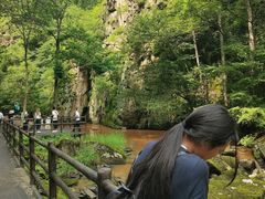 -茅兰沟国家森林公园