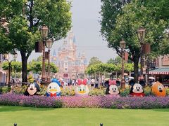 -上海迪士尼度假区