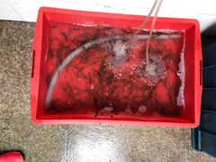 -天目湖刘老四农庄