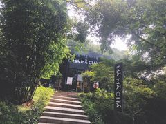 -MAMACHA妈妈茶(岳麓山店)