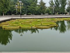 -石家庄市植物园