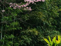 -黄公望隐居地