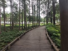 -月湖风景区
