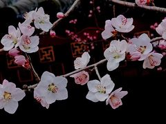 -颐和园