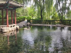 -百脉泉景区