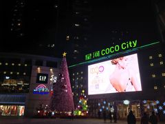 -深圳龙华星河COCO City(民治店)