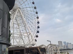 -琴岛之星摩天轮