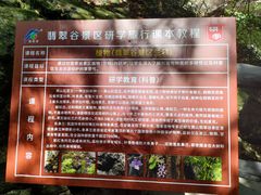 -黄山翡翠谷景区
