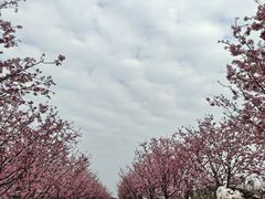 -凤凰沟景区