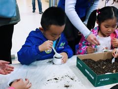 -I-Shine英语国际教育(御桥张江中心)