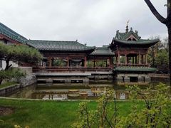 -迎泽公园