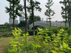 -保定东湖公园(莲池区)